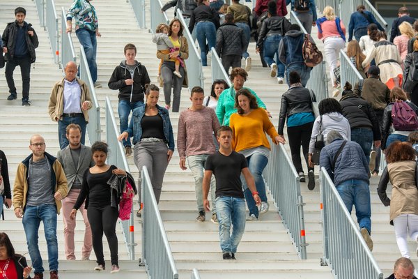 Comment aider à protéger les espèces menacées : guide pratique pour le citoyen