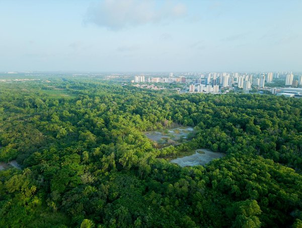 Activisme environnemental, a-t-il un impact réel ?